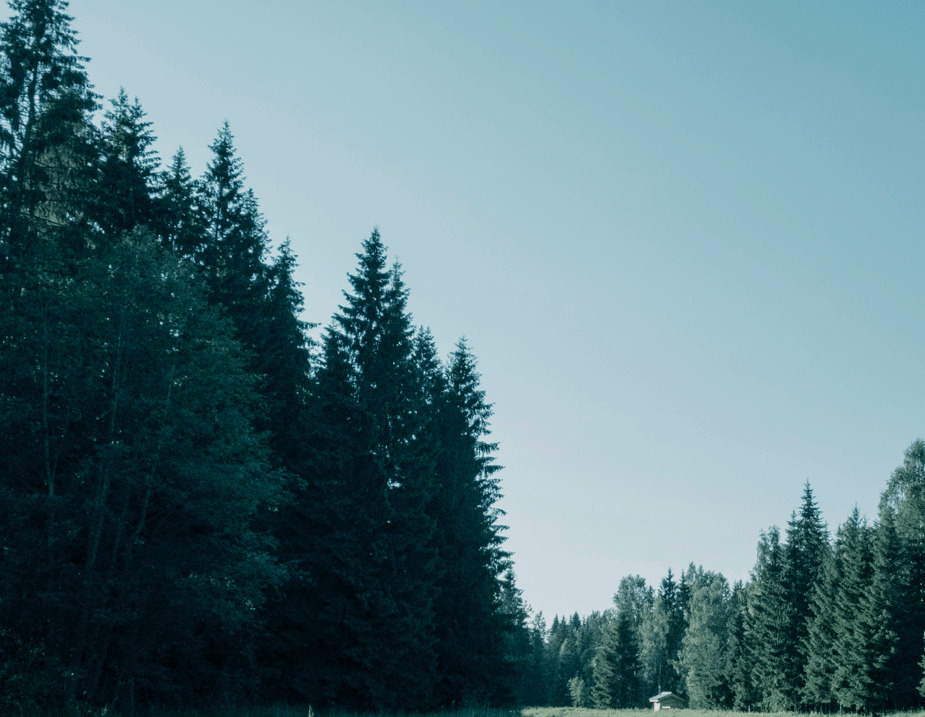 Descriptive Text for Image